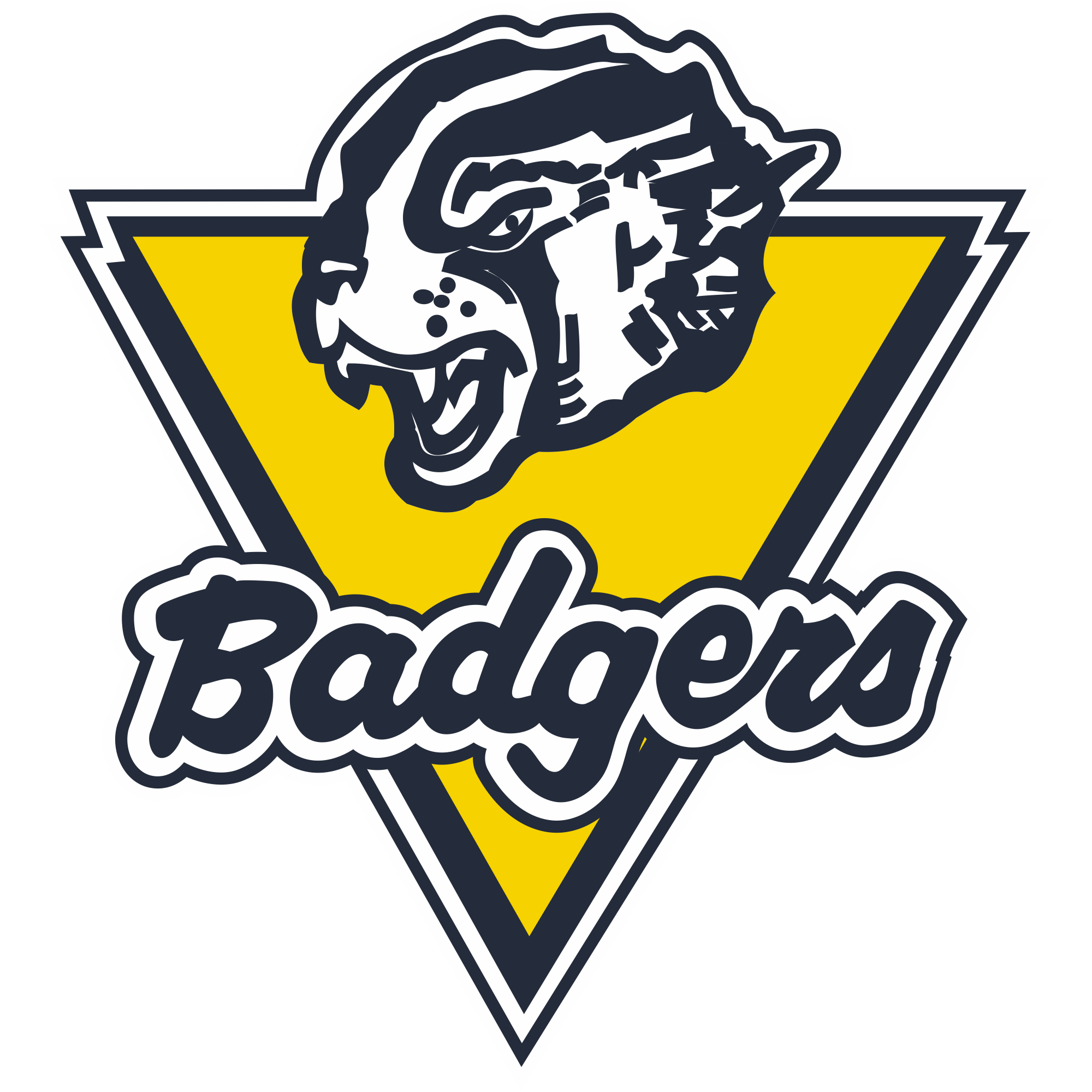Beaver County Badgers
