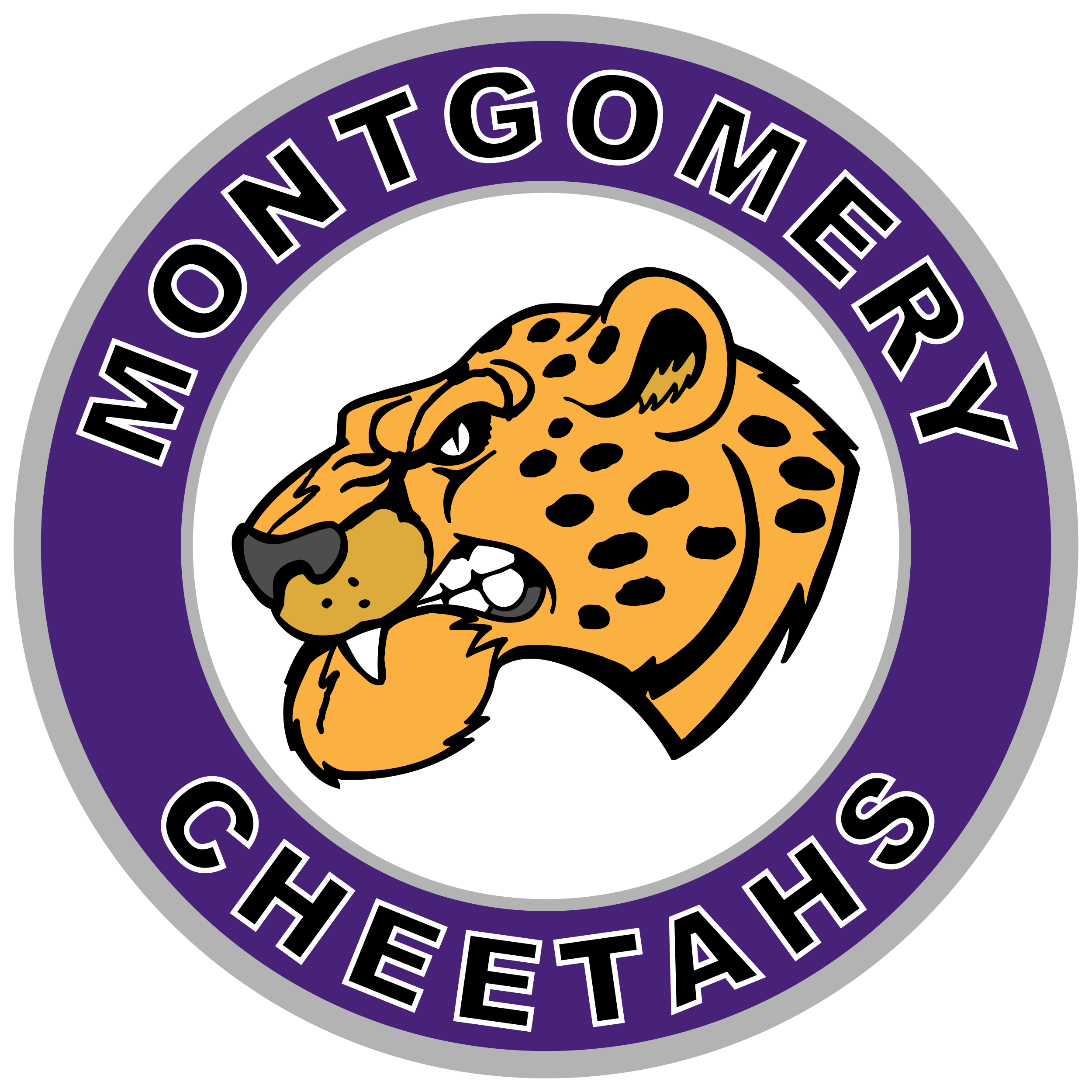Montgomery Cheetahs
