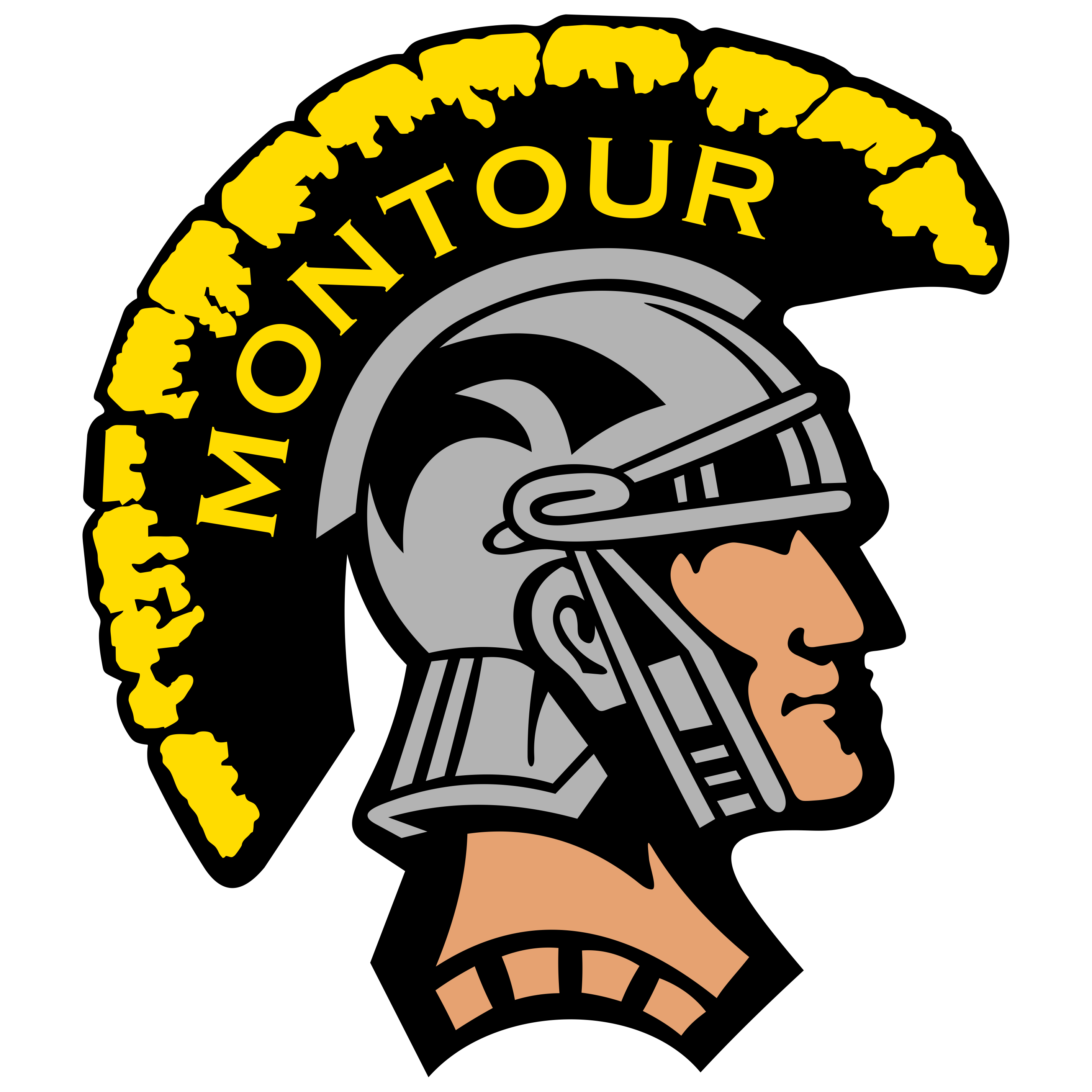 Montour HS