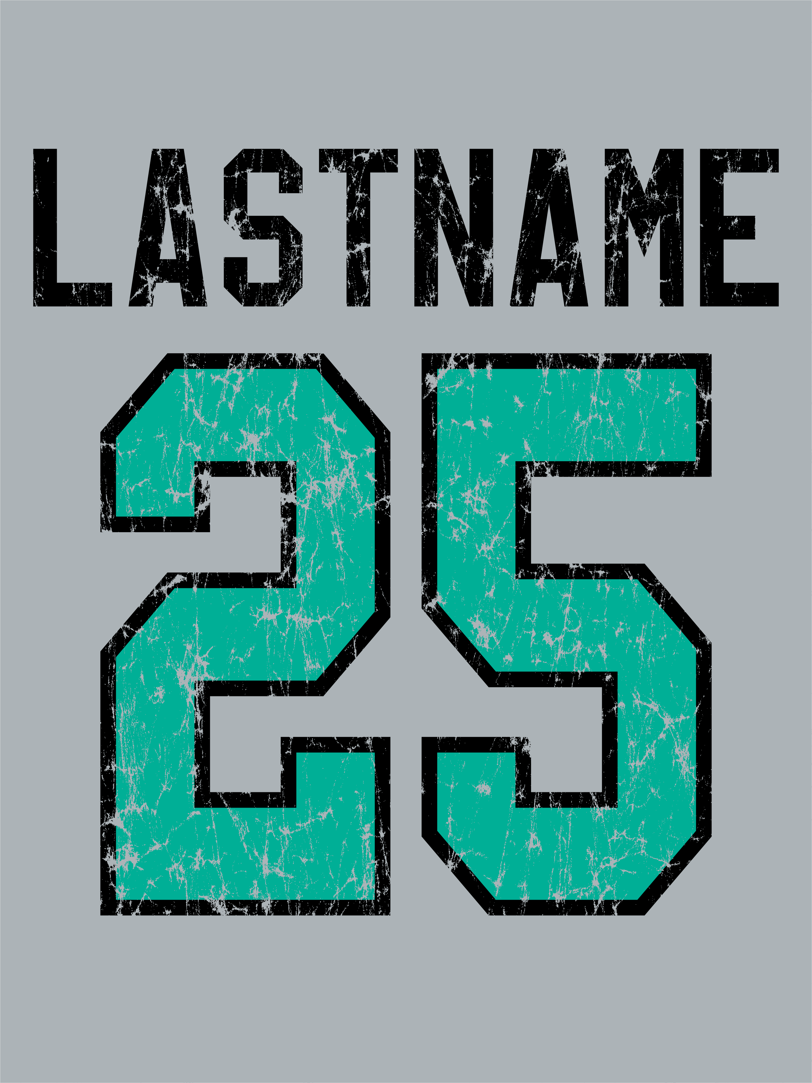 Distressed Logo LS T-Shirt - Altoona
