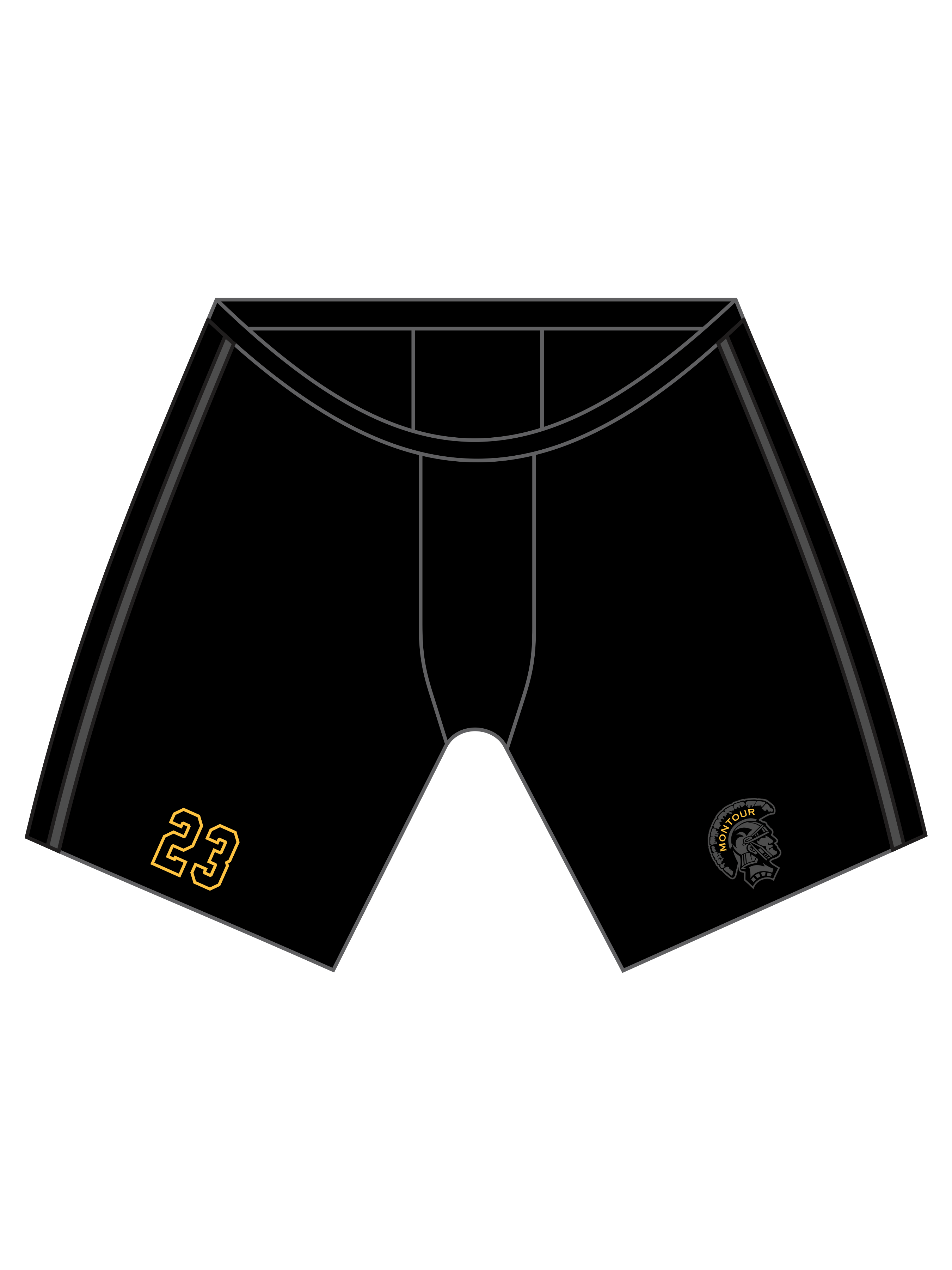 Pant Shell (Charcoal Stripe) - Montour