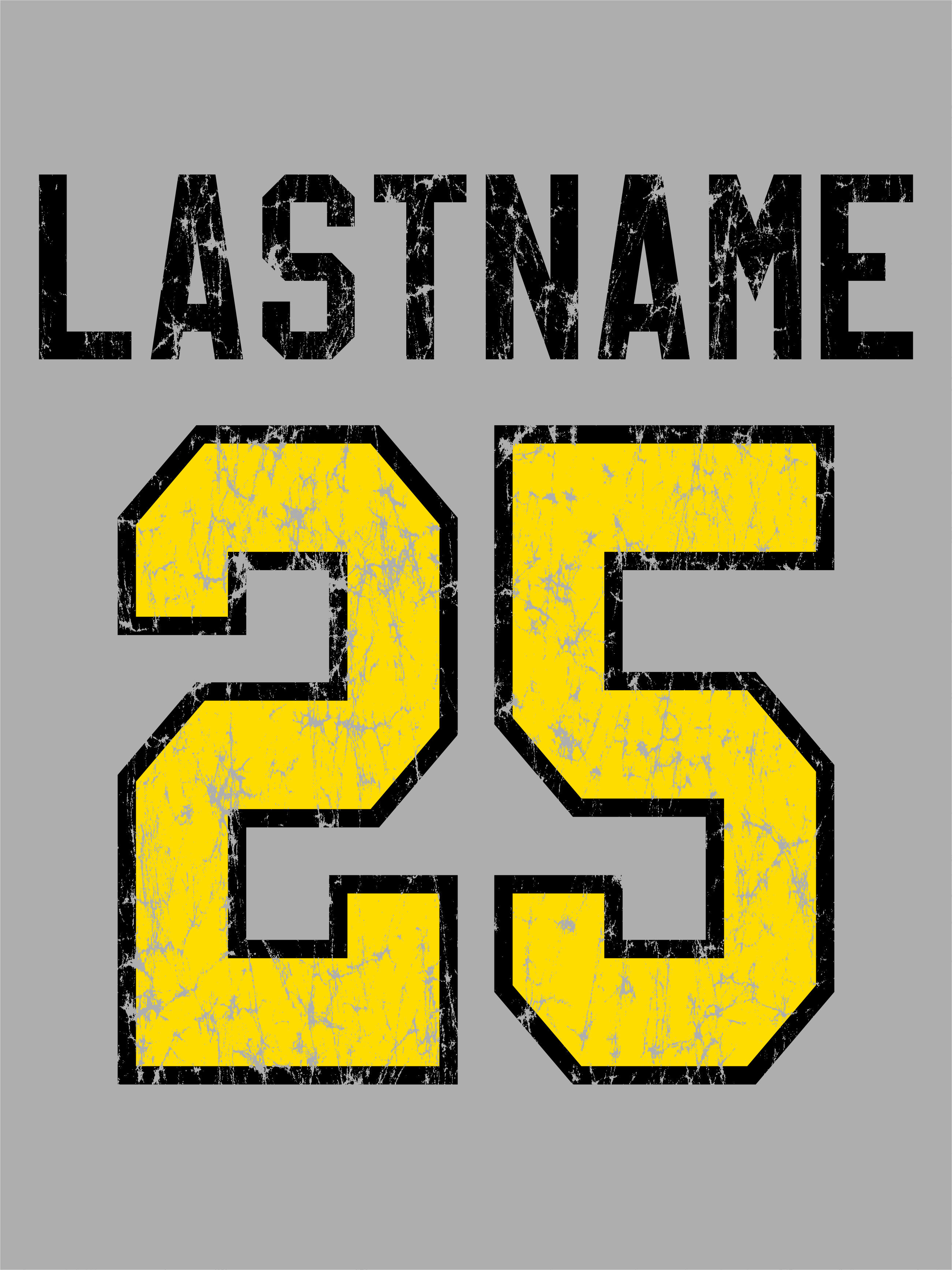 Distressed Logo Hoodie - North Allegheny