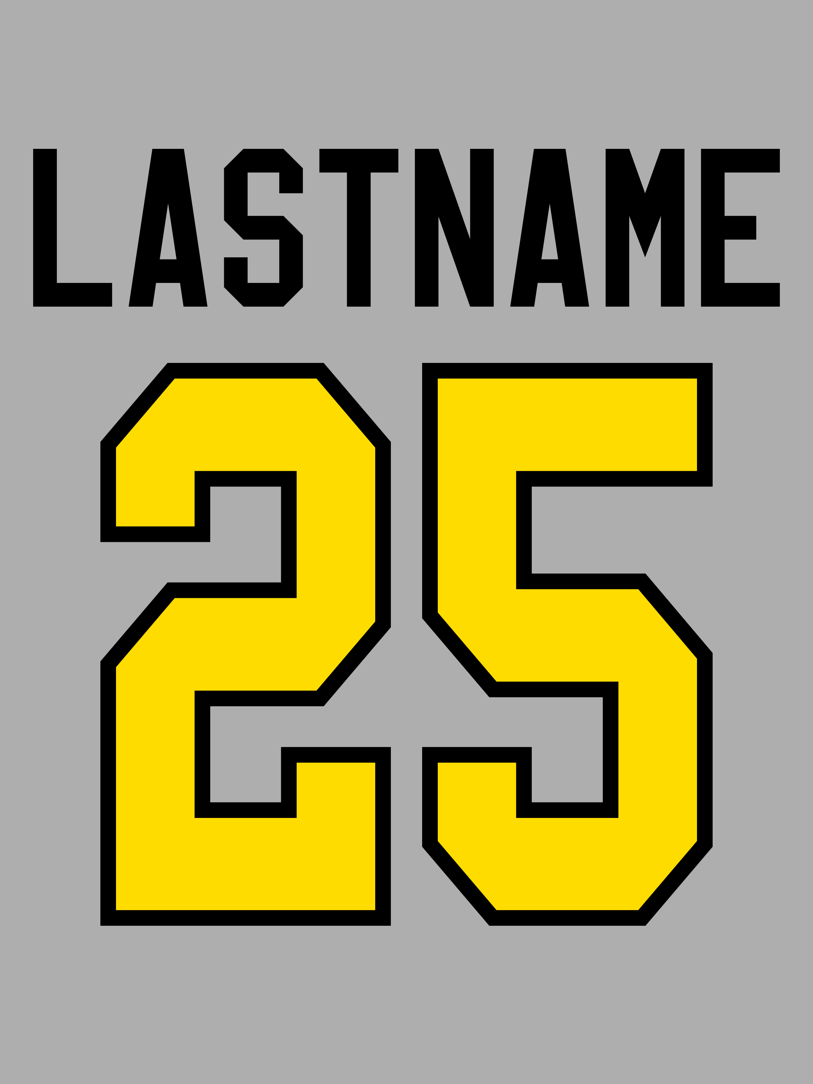Text Hoodie - North Allegheny